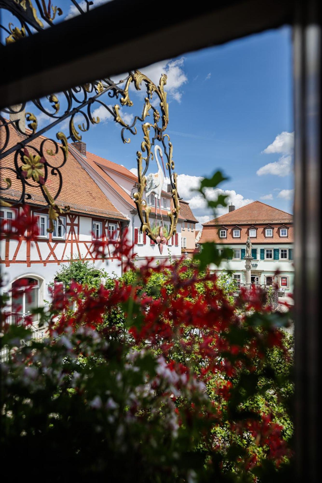 Flair Hotel Zum Storchen Бад-Віндсгайм Екстер'єр фото